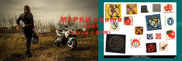 прущие грибы Балахна