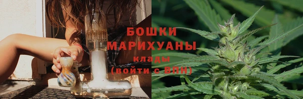дмт Арсеньев