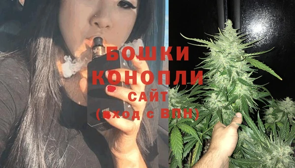 гидра Армянск