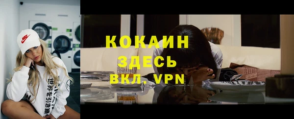 дмт Арсеньев